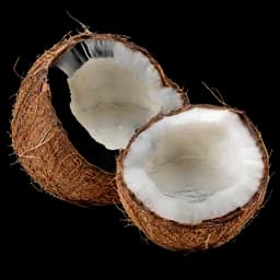 coco