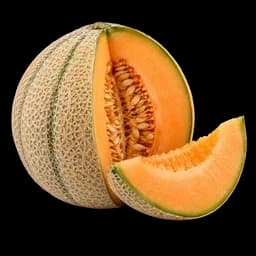 melón