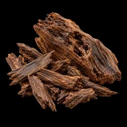 oud