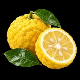 yuzu
