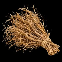 vetiver